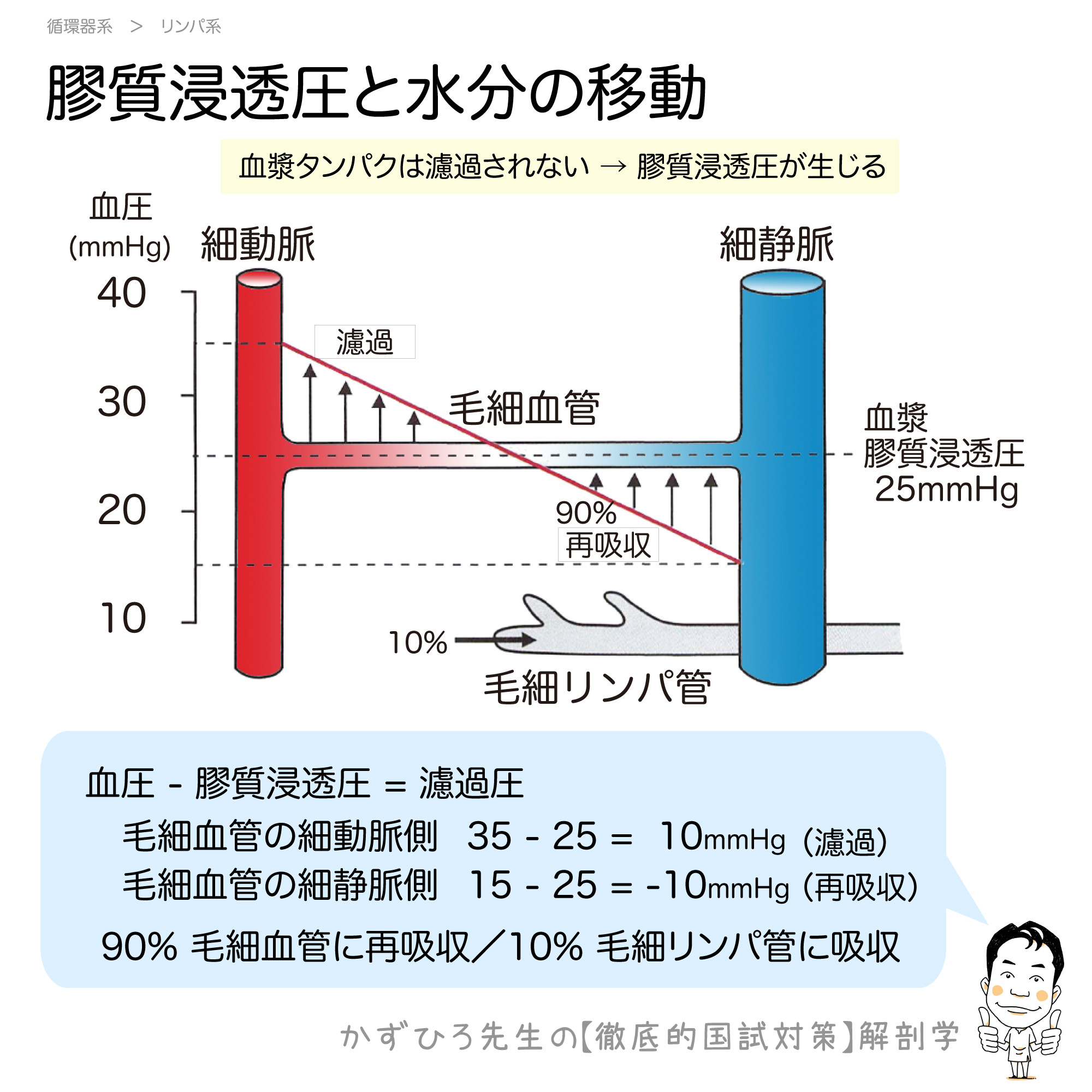 浸透 血漿 看護 膠質 圧 体液分布と血漿浸透圧・膠質浸透圧 ｜